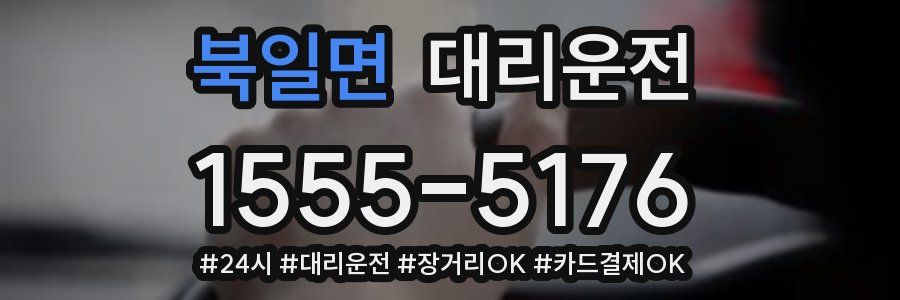 북일면 대리운전