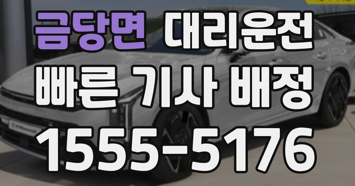 일일대리기사