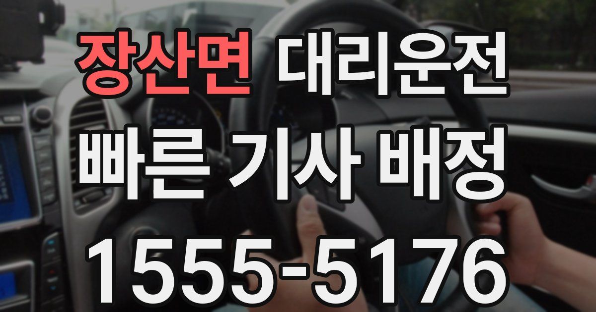 일일대리기사