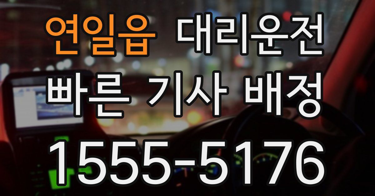 일일대리기사