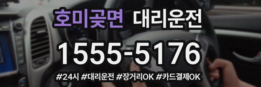 호미곶면 대리운전