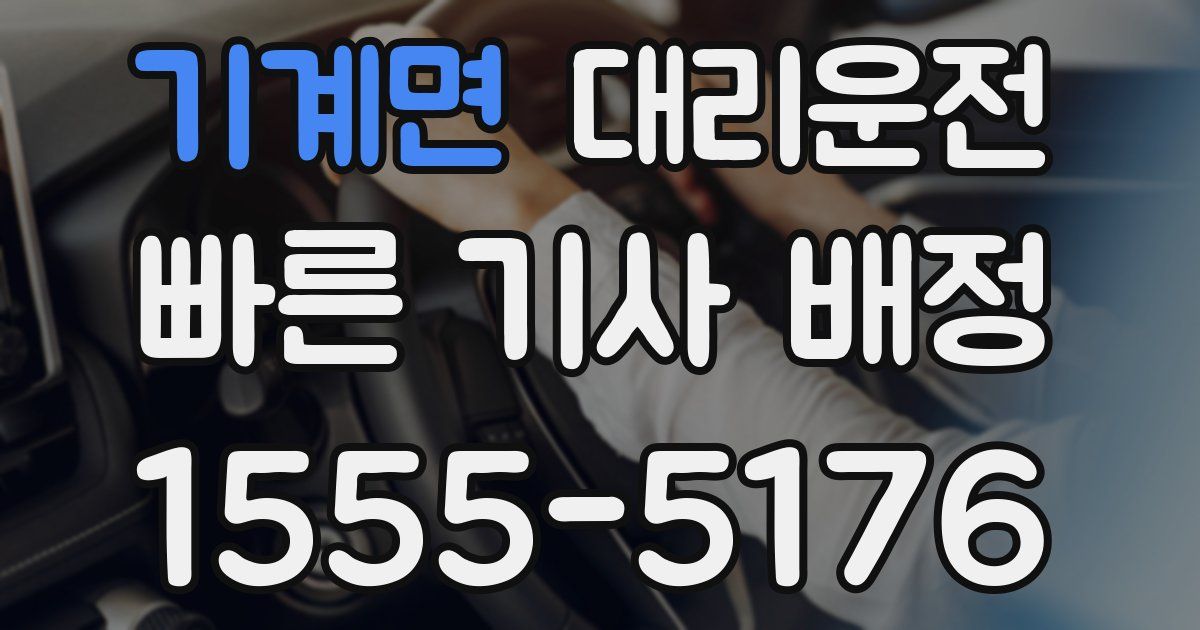 일일대리기사