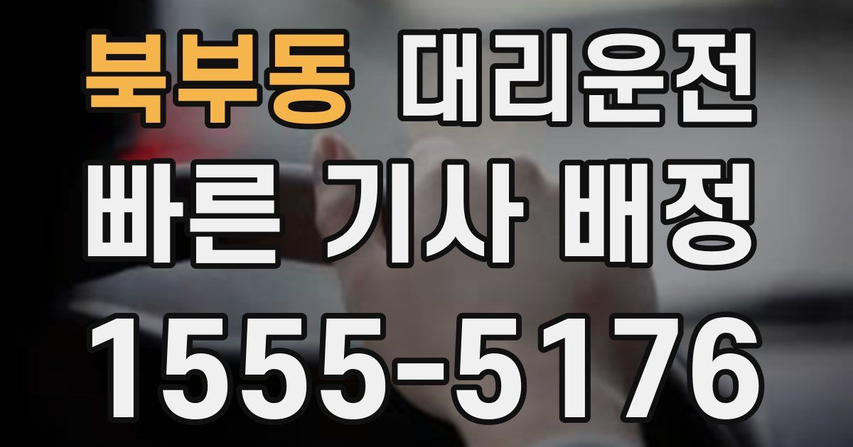 일일대리기사