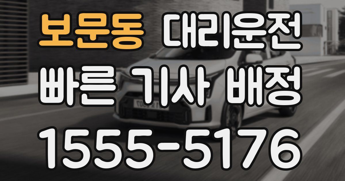 일일대리기사