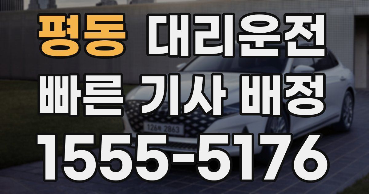 일일대리기사