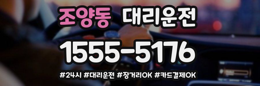 조양동 대리운전
