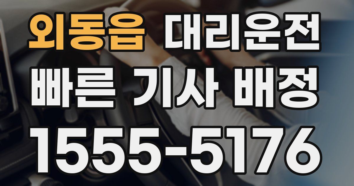 일일대리기사