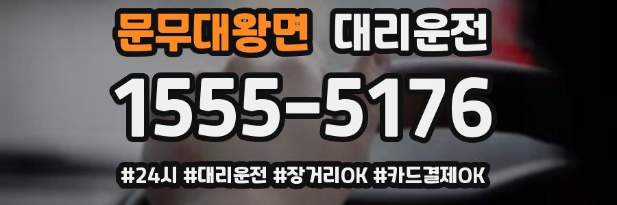 문무대왕면 대리운전