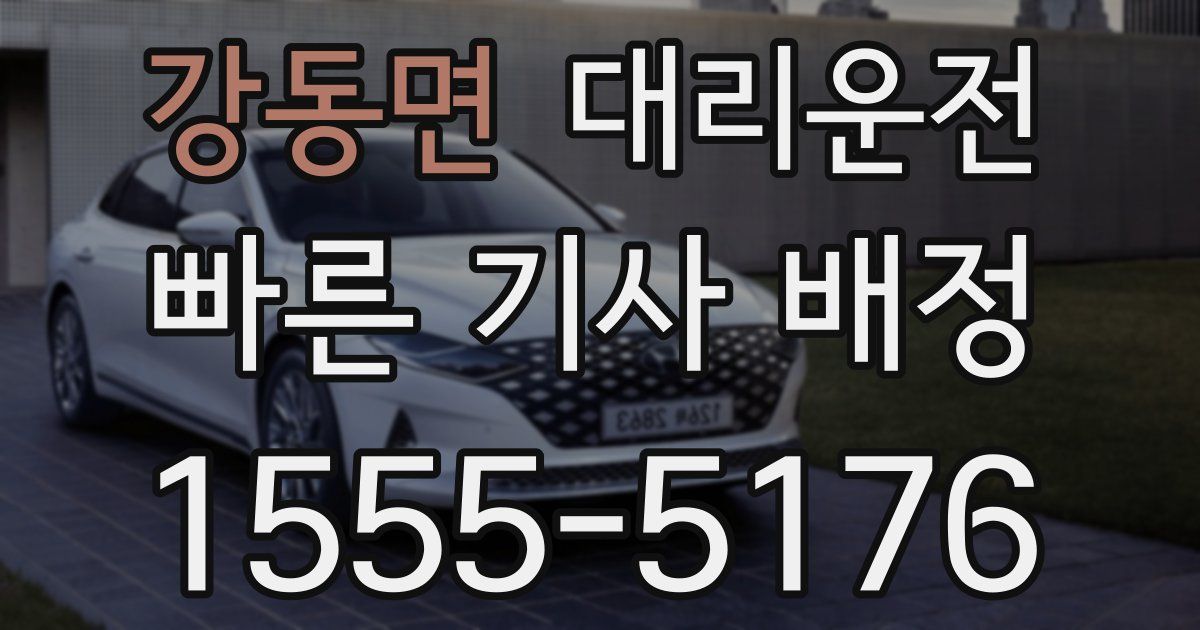 일일대리기사