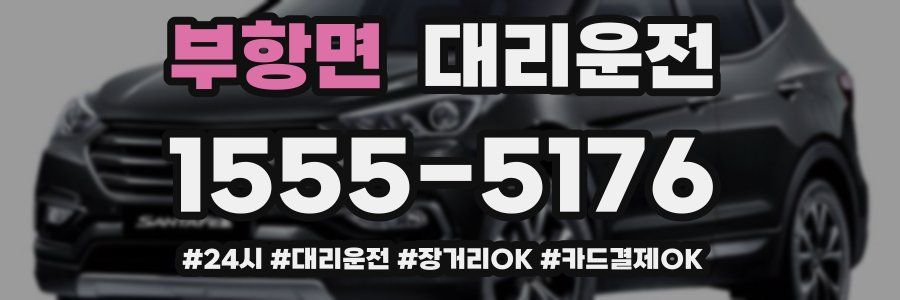 부항면 대리운전