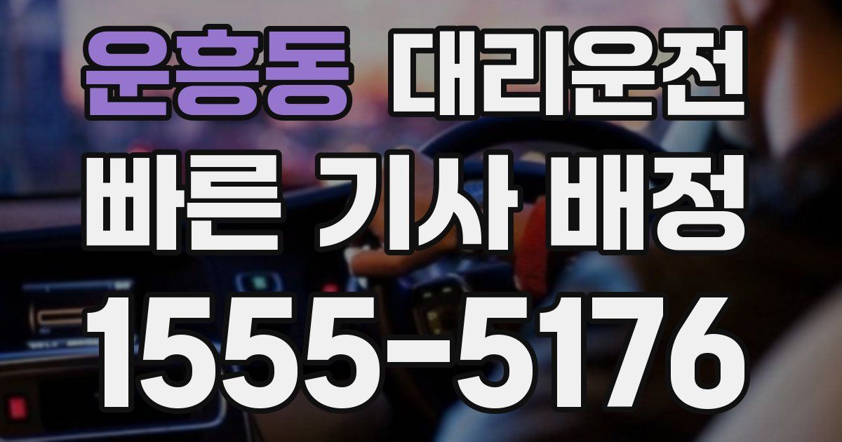 일일대리기사