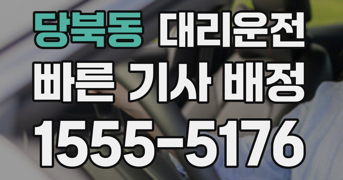 일일대리기사