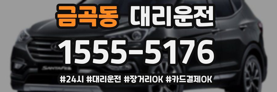 금곡동 대리운전