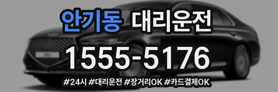 안기동 대리운전