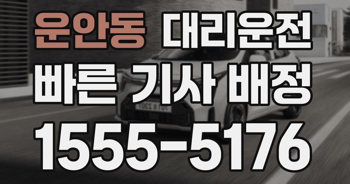 일일대리기사
