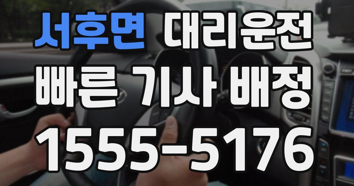 일일대리기사