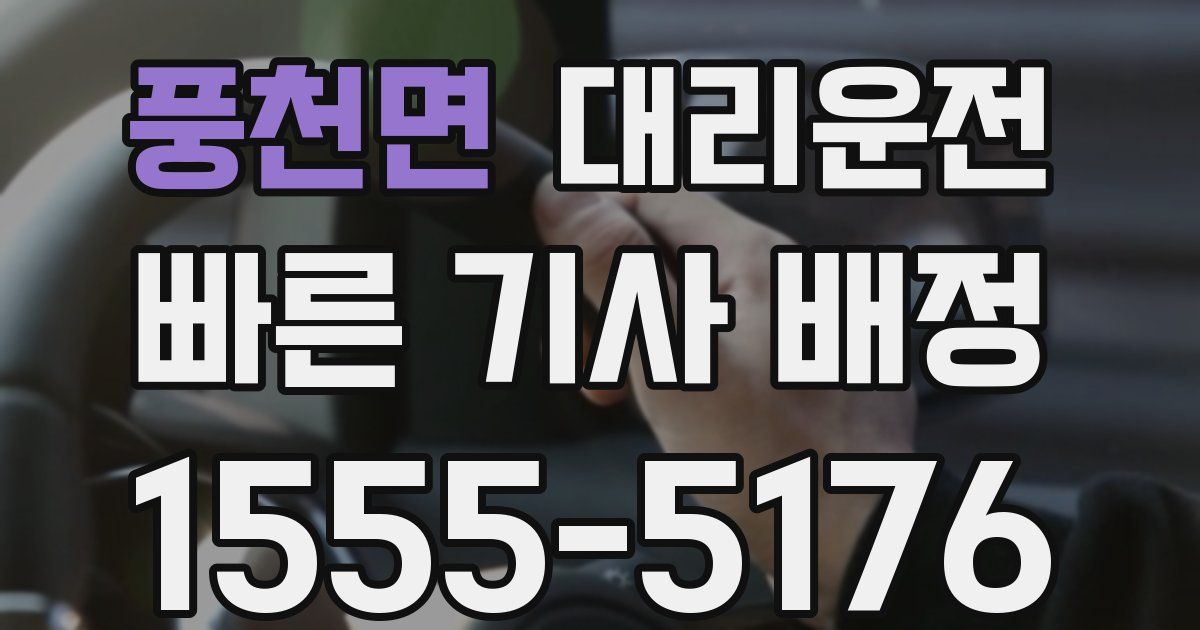 일일대리기사