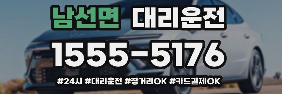 남선면 대리운전