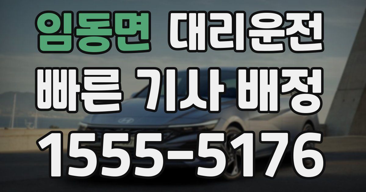 일일대리기사
