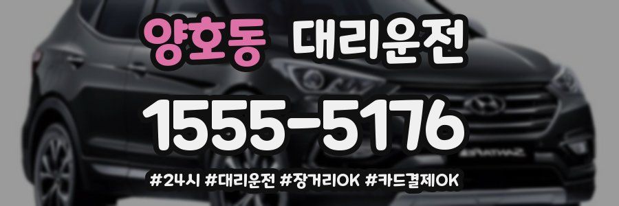 양호동 대리운전