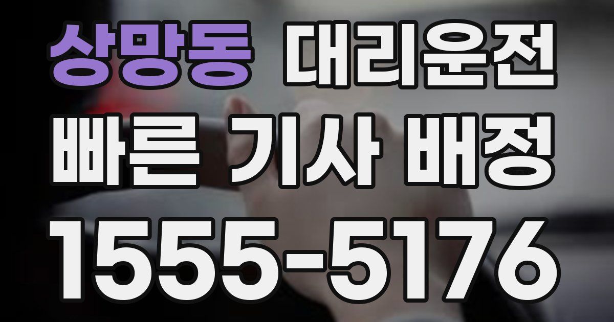 일일대리기사
