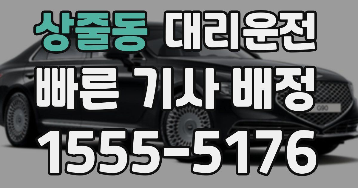 일일대리기사