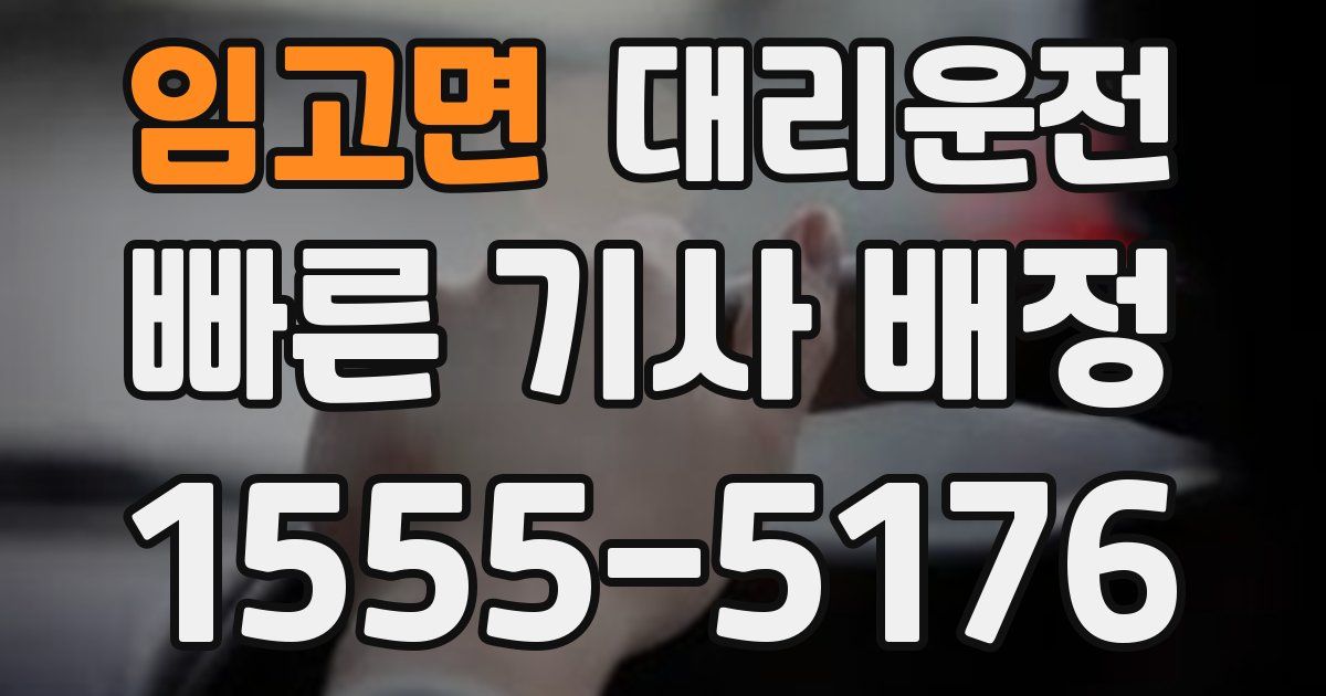 일일대리기사