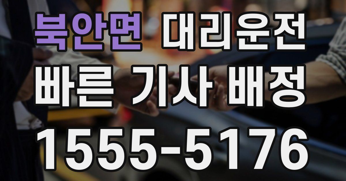 일일대리기사