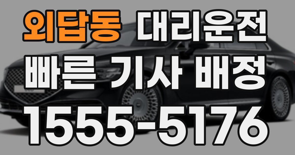 일일대리기사