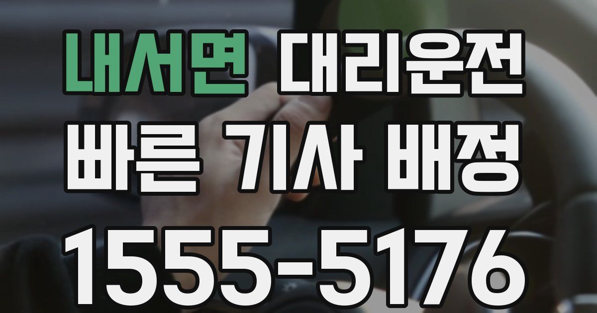 일일대리기사