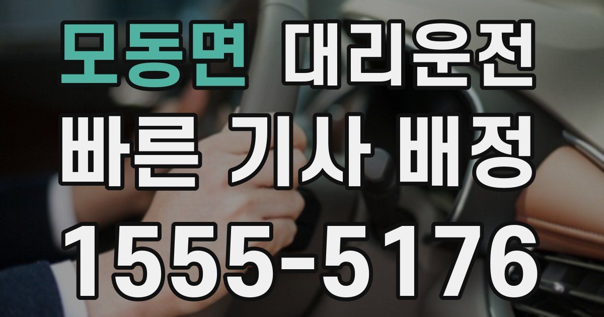 일일대리기사
