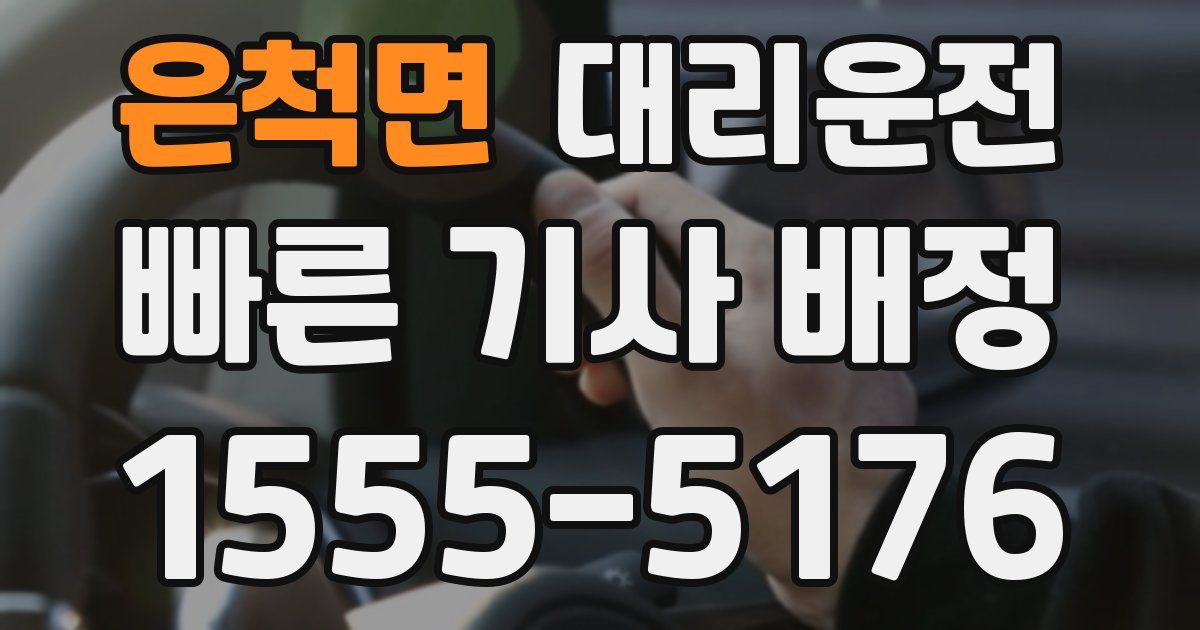 일일대리기사
