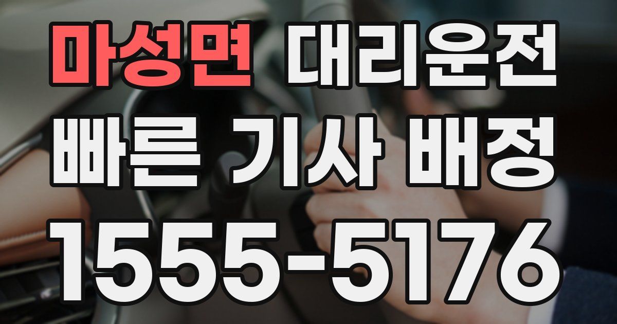 일일대리기사