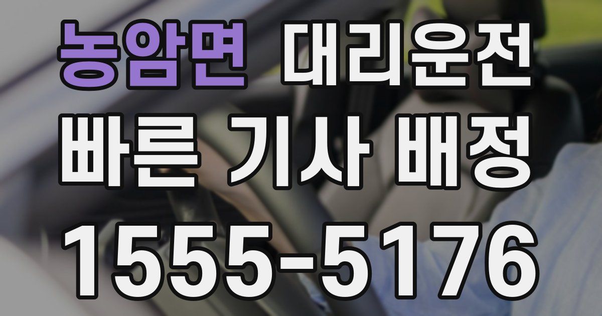 일일대리기사