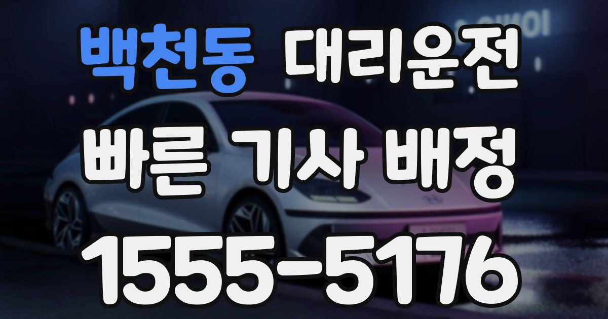 일일대리기사