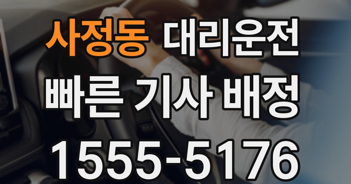 일일대리기사