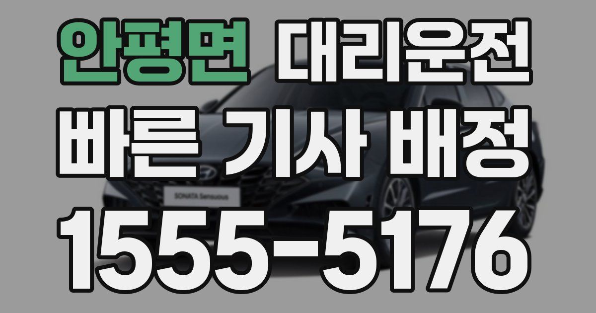 일일대리기사