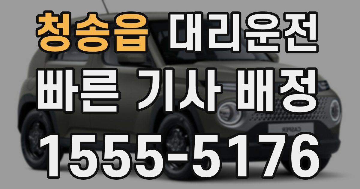 일일대리기사