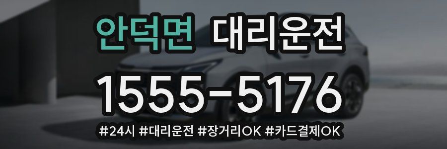 안덕면 대리운전