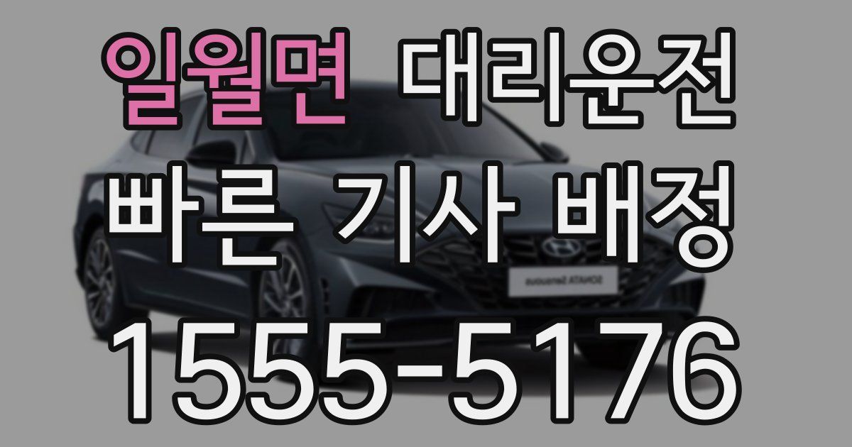 일일대리기사