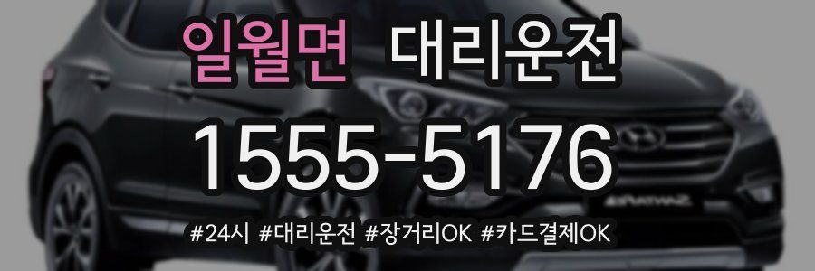 일월면 대리운전