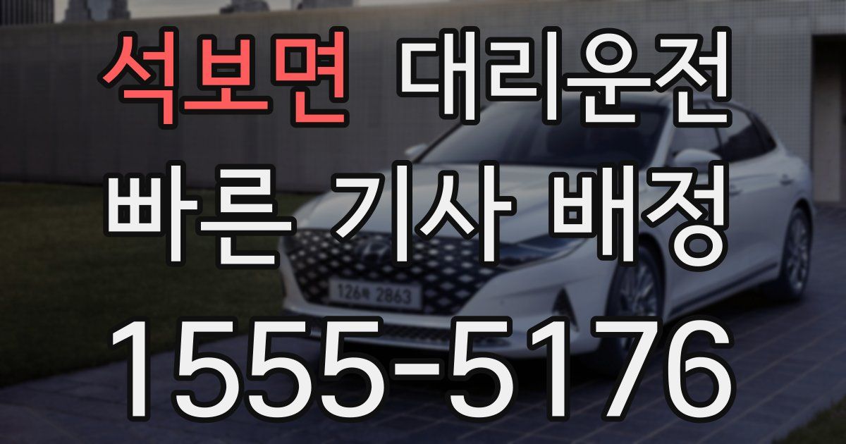 일일대리기사