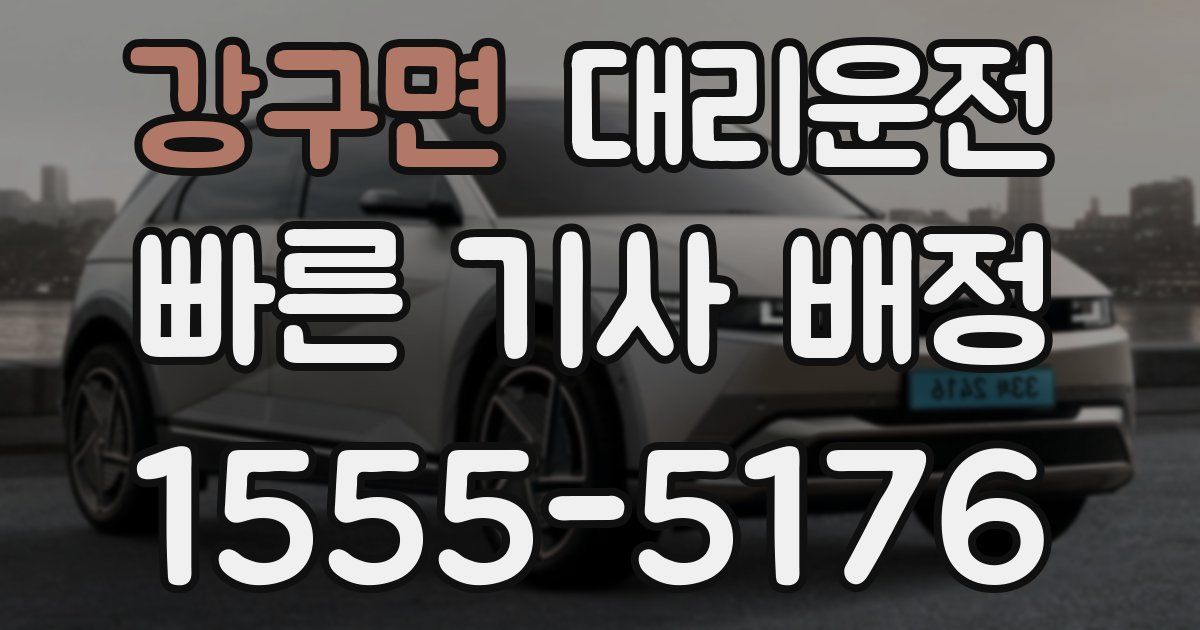 일일대리기사