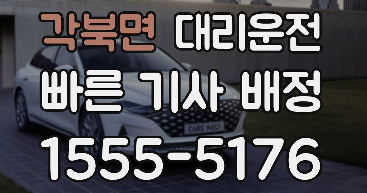 일일대리기사