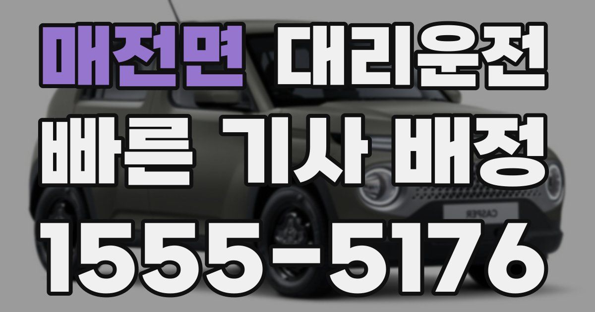 일일대리기사