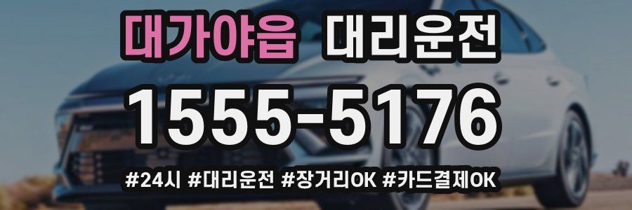 대가야읍 대리운전