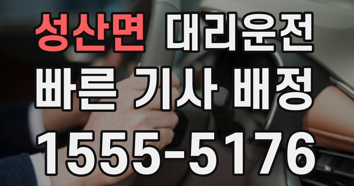 일일대리기사