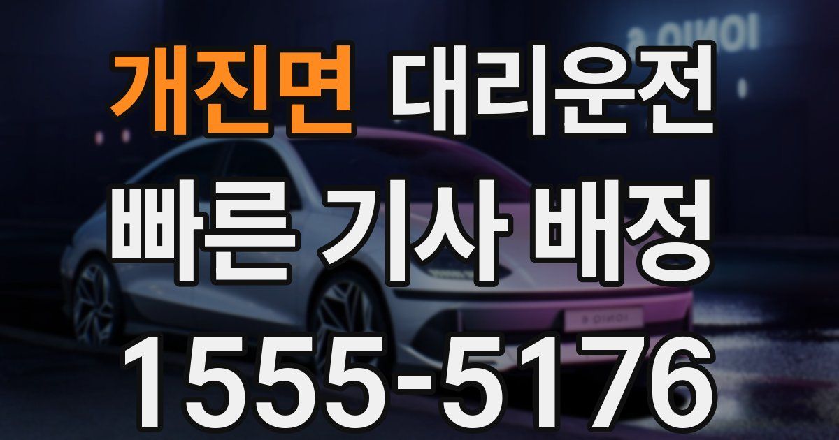일일대리기사