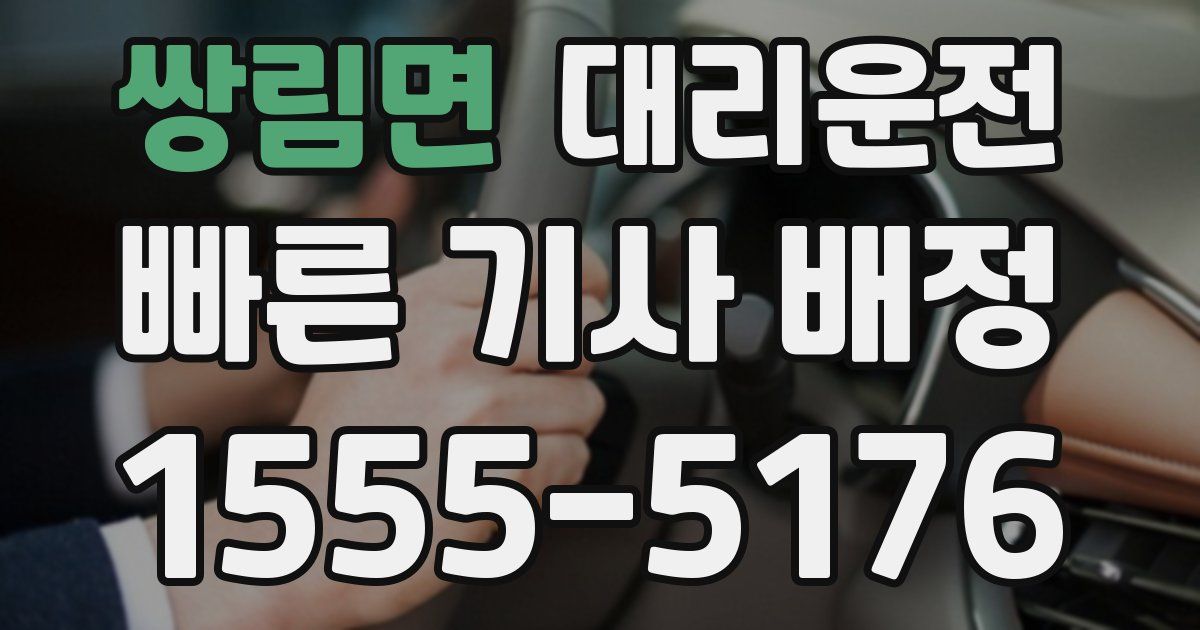 일일대리기사
