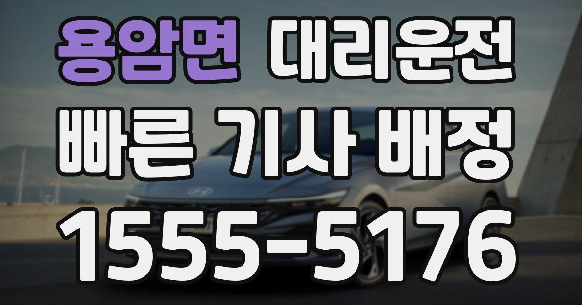 일일대리기사
